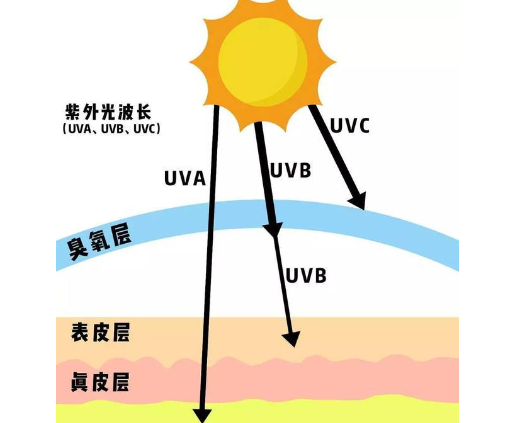 紫外线分类.png